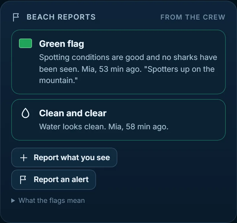 Beach reports at Muizenberg: green flag and clean water, from the crew